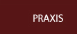 Praxis